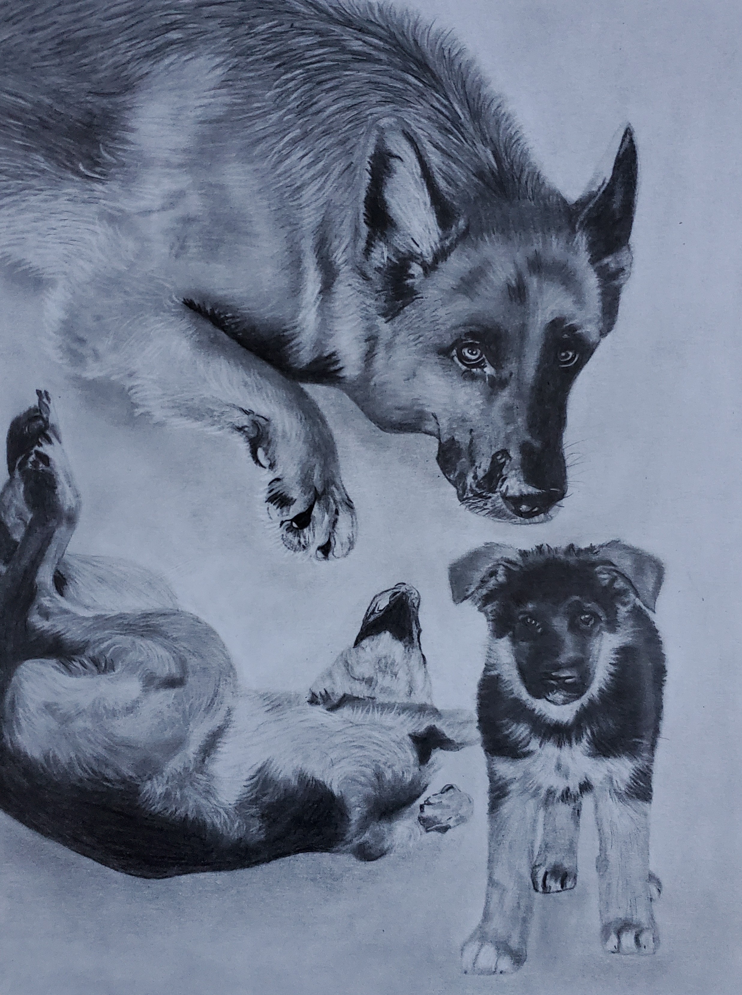 Graphite Portrait Example